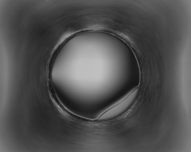 X0000086881422200705071152