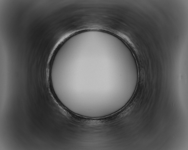 X0000086881424200705071152