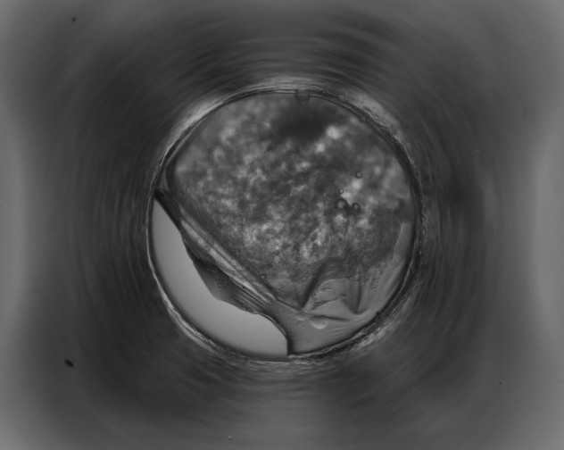 X0000086881425200705071152