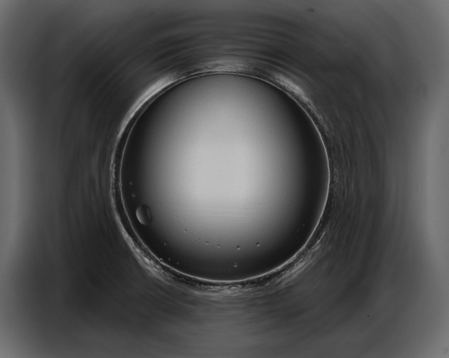 X0000086881426200705071152