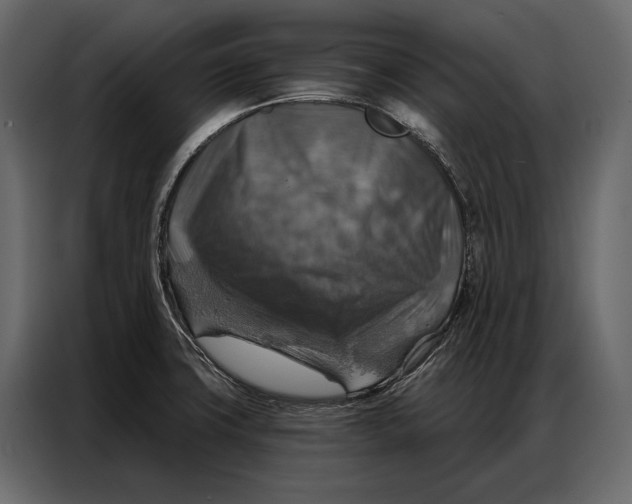 X0000086881427200705071152