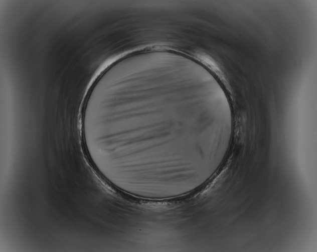 X0000086881428200705071152