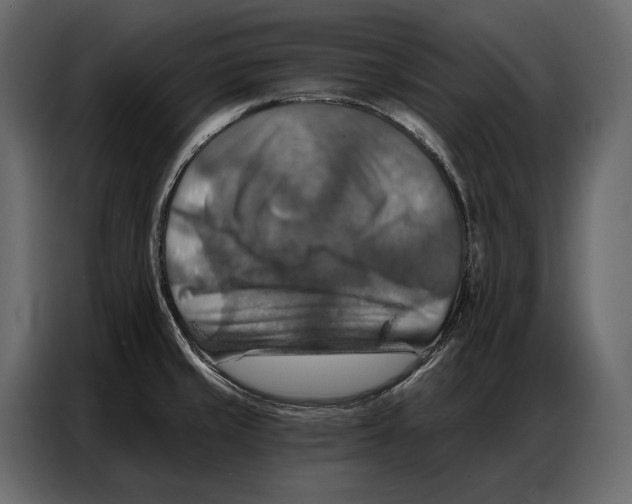 X0000086881429200705071152