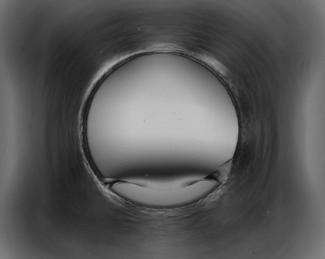 X0000086881430200705071152