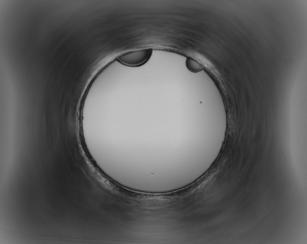 X0000086881431200705071152