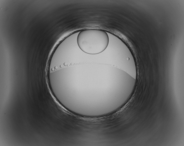 X0000086881432200705071152