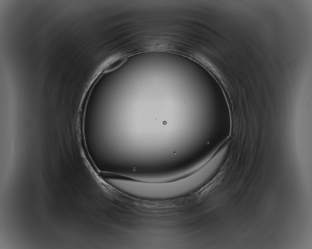 X0000086881434200705071153