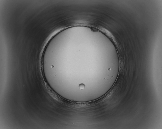 X0000086881435200705071153