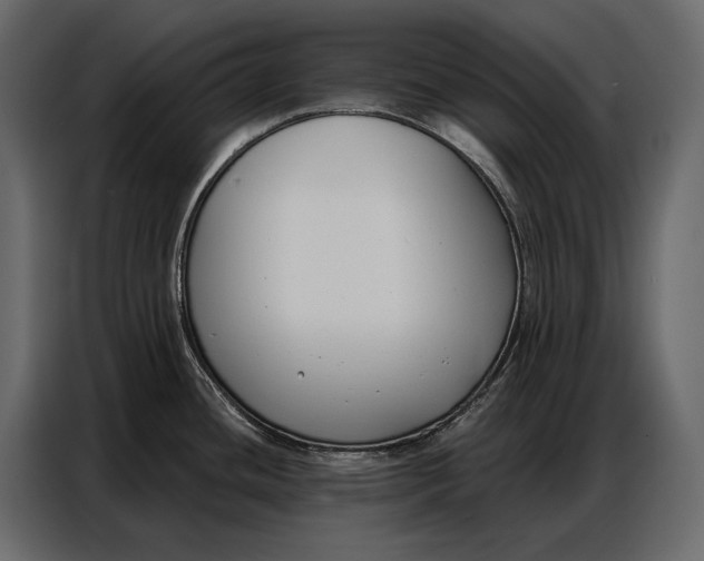 X0000086881436200705071153