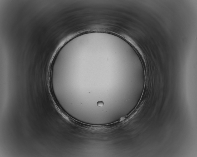 X0000086881437200705071153