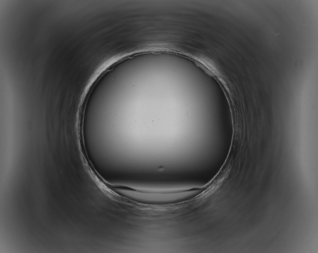 X0000086881438200705071153