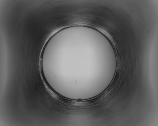 X0000086881439200705071153