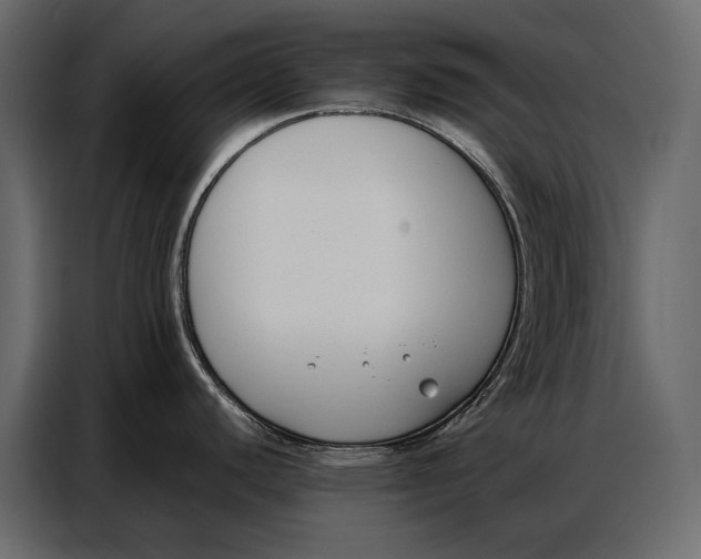 X0000086881440200705071153