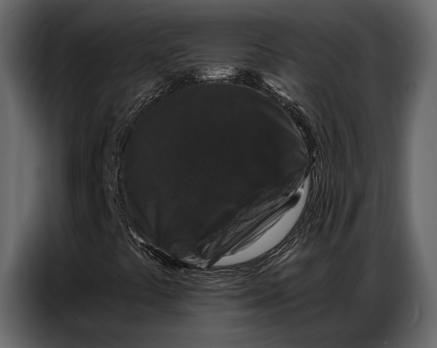 X0000086881441200705071152