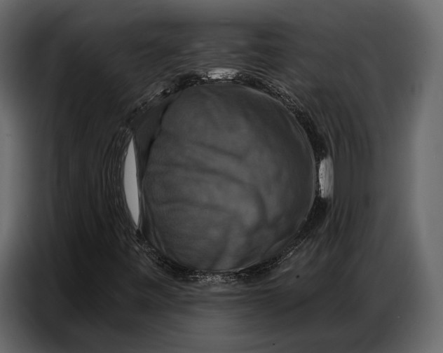 X0000086881443200705071152