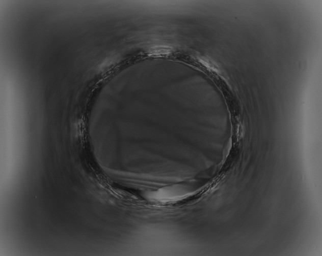 X0000086881445200705071152