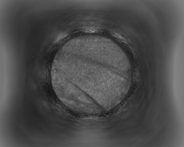 X0000086881446200705071152