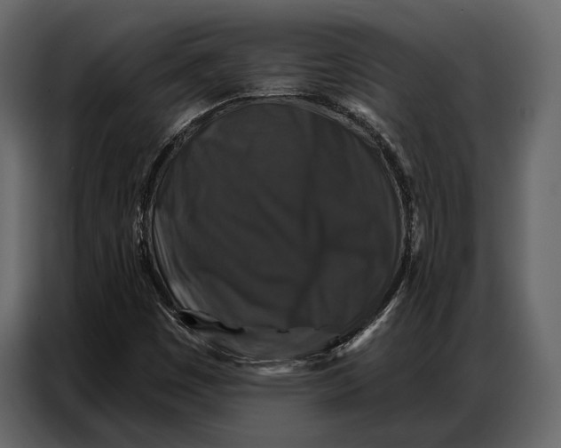 X0000086881449200705071152