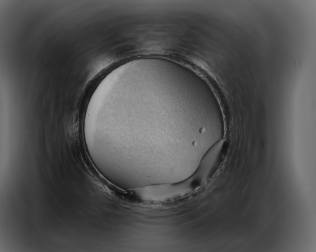 X0000086881450200705071152