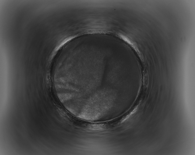 X0000086881453200705071152