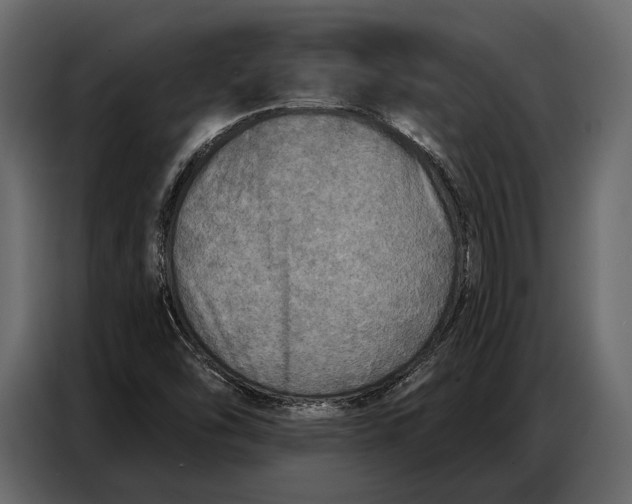 X0000086881454200705071152