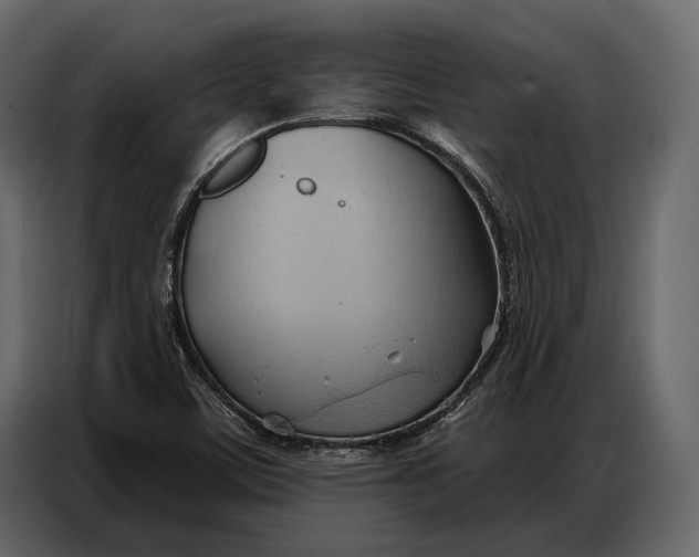 X0000086881459200705071152