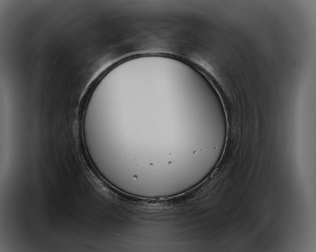 X0000086881460200705071152