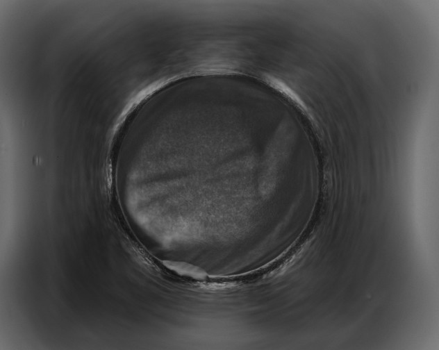 X0000086881461200705071152