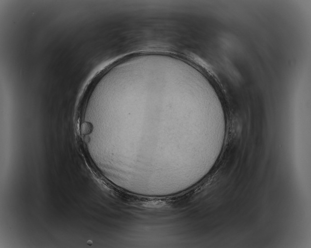 X0000086881462200705071152