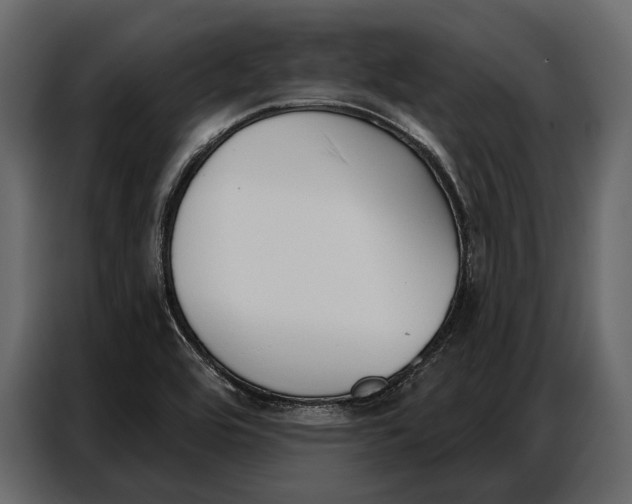 X0000086881464200705071152