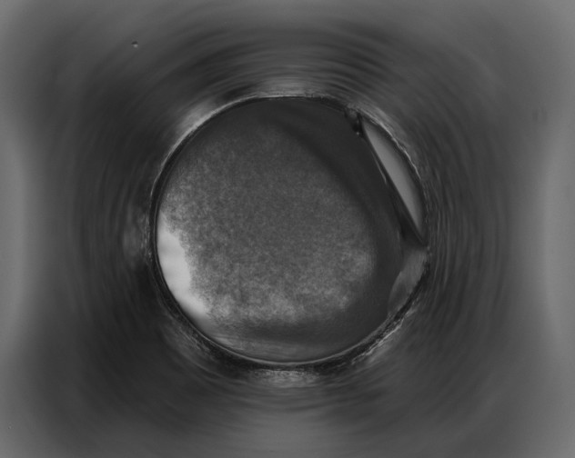 X0000086881465200705071152