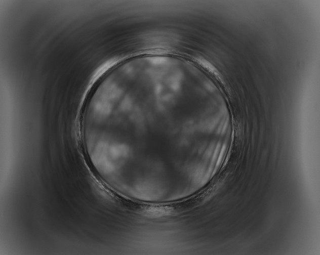 X0000086881466200705071152