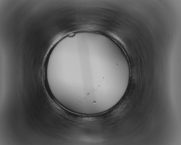 X0000086881467200705071152