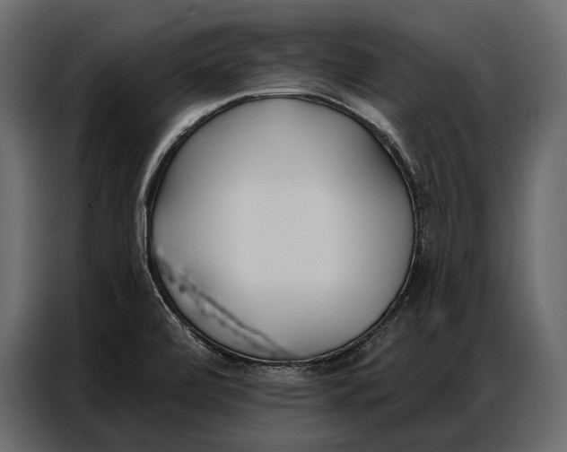 X0000086881472200705071152