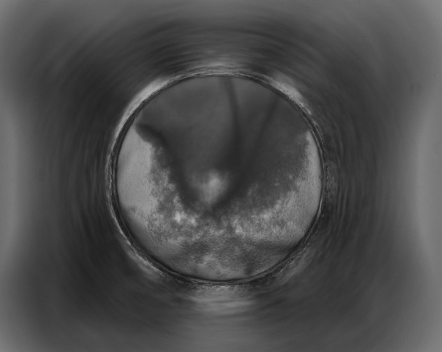 X0000086881474200705071152