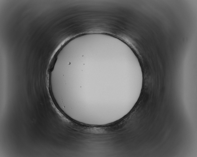 X0000086881476200705071152