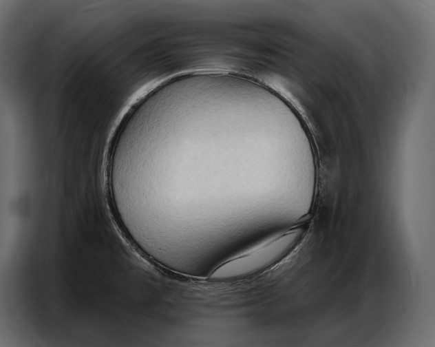 X0000086881477200705071151