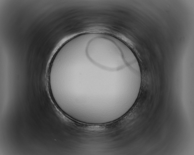 X0000086881478200705071151