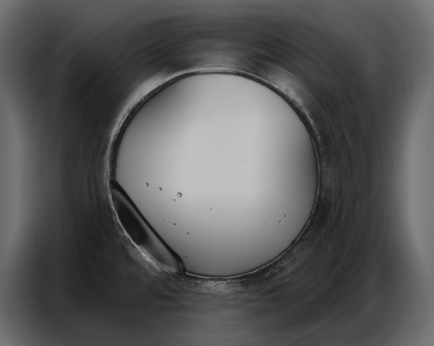 X0000086881480200705071151