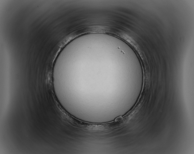 X0000086881481200705071151