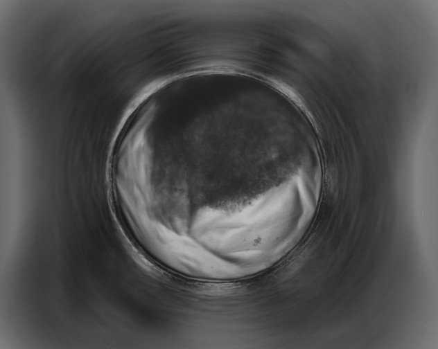 X0000086881482200705071151