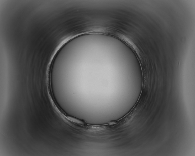 X0000086881483200705071151