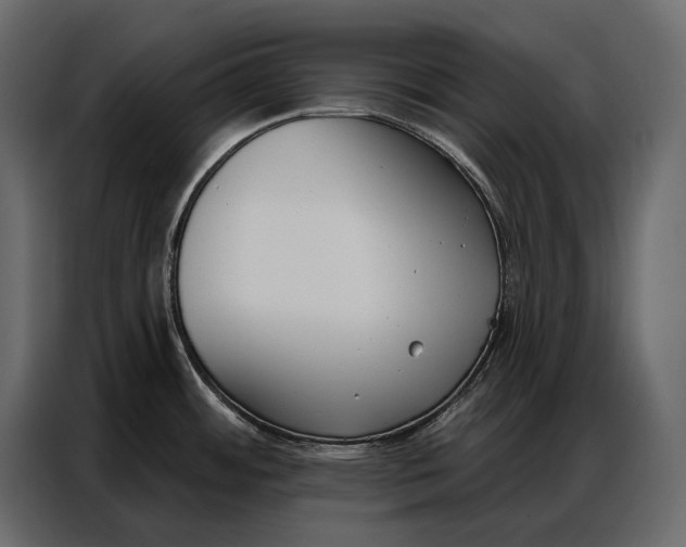 X0000086881484200705071151