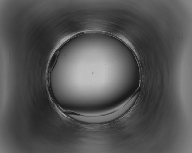 X0000086881485200705071151