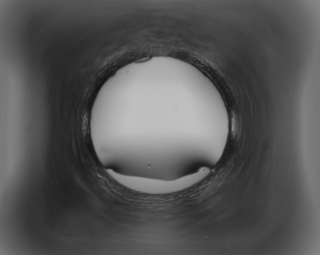 X0000086881492200705071151