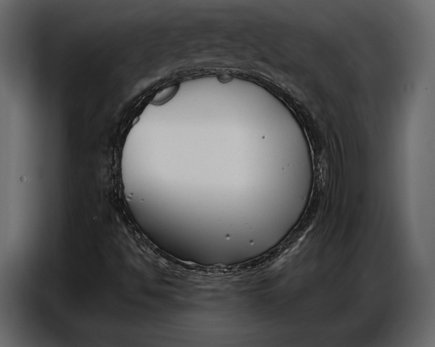 X0000086881494200705071151