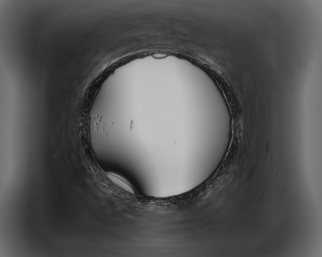 X0000086881496200705071151