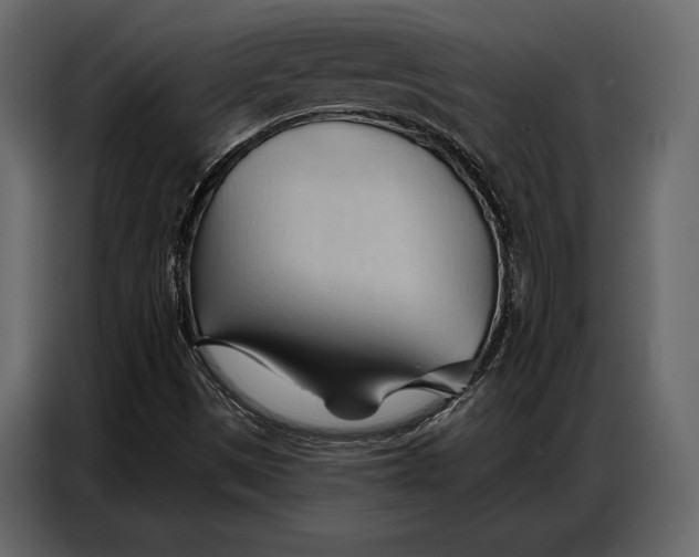 X0000086881497200705071151