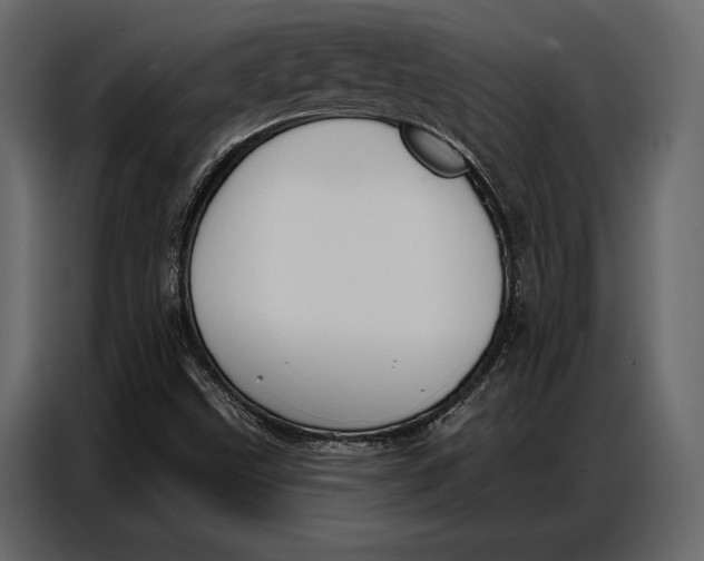 X0000086881499200705071151