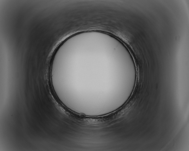 X0000086881500200705071151